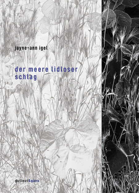 der meere lidloser schlag