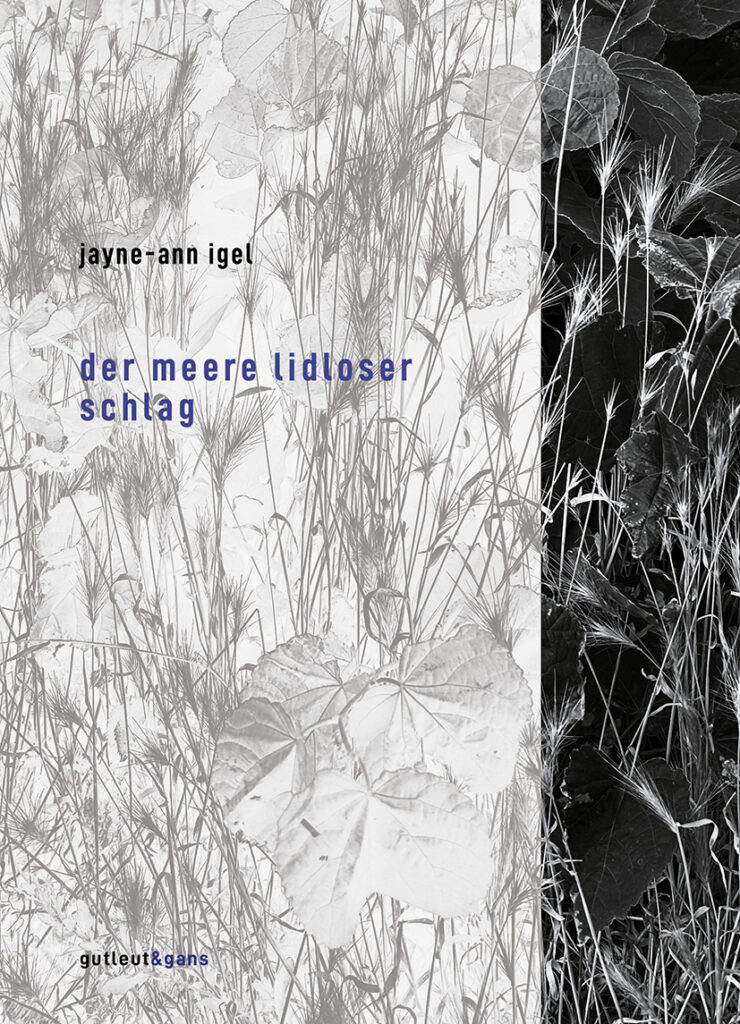 der meere lidloser schlag