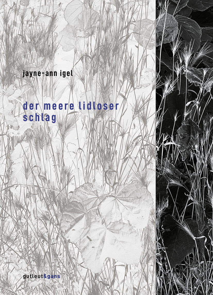 der meere lidloser schlag
